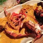 活海老バル orb ウラなんば - ◆オマールエビ　イエローカレーソース