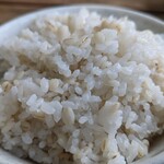 飄禄玉 - 麦めし(240121)