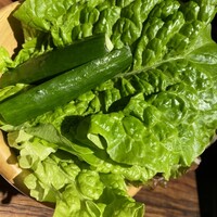 焼肉一頭両騨 町田本店 - 