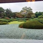 オアシス - 美しい庭園