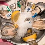 Oyster Bar ジャックポット - 