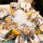 Oyster Bar ジャックポット - 