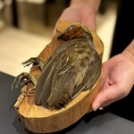 プレゼンテ スギ - 小綬鶏