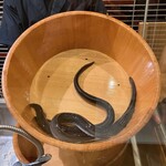 入谷鬼子母神門前のだや - 