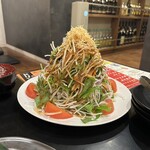 Sumibiyakiniku Gura - マウンテンぐらサラダ