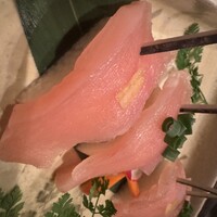 鳥ばか一代 - 
