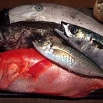 Izakaya Jun - 12月21日本日入荷した金目鯛・ウチワハギ・赤にしばい貝・鯵・牡蠣・黒そい・刺身で旨い鯖…以上入荷しました！うまいぜぇ〜