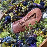 THE KINTAN STEAK - 
