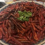 中菜バル 堂島 - 