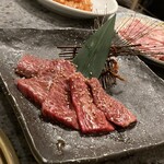 Kawasaki Meibutsu Sumibi Yakiniku Syokudouen - 