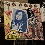 Tarji - David Lindley/MR.DAVE
