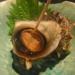 漁菜献舗 鳥新 - 2013.12)お通しのサザエつぼ焼き