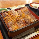 Sumibiyaki Unagi Higashiyama Bussan - 