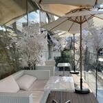 HAUTE COUTURE CAFE OMOTESANDO - テラス席　春は気持ちよさそうです