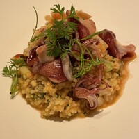 カンテサンス - 