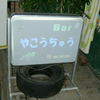 夜光虫 夜光虫