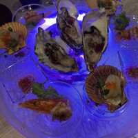 スミレオオサカ -  スミレオオサカ -