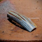 千葉たかおか - 希少な三番瀬のコハダ。