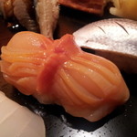 鮨与志乃 - 赤貝