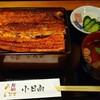 Unagi Kohinata - 