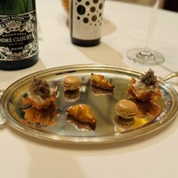ロドラント ミノルナキジン - 