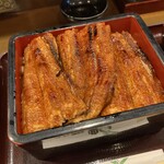 Unagi No Toyokawa - 