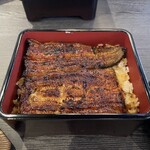 Unagi Fujita - 