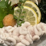 北海道の旬味 南3西4 うにとかにといくら - 