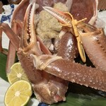 光風湯圃 べにや - 