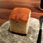 T.N - フォッカッチャ