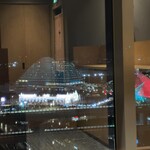 梅の花 - 神戸ルミナリエが一望＾＾