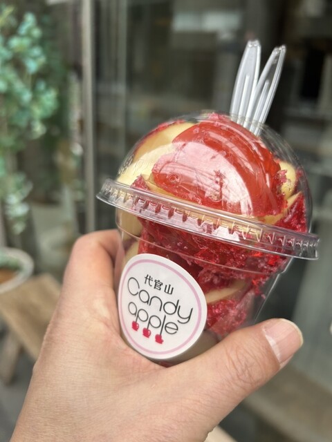 ⭐️サイクロンタイプ⭐️キャンディアップル⭐️ Cyclonetype⭐️ Candyapple オンラインストア