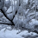 湯宿　せきや - 