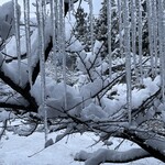 湯宿　せきや - 