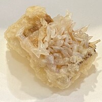 天ぷらふく西 禅と匠 - ※甘鯛は、鱗がサクサクと香ばしく、中身はその名の通り上品な甘さが際立っていた。