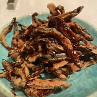 CINA New Modern Chinese - 
