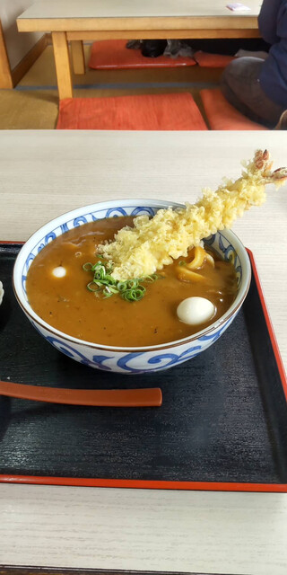 びっくりうどん - 新庄（うどん）の写真