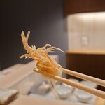 天ぷら 辻 - 脚も美味い…