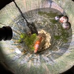 焼肉 グルマンズいとう - 