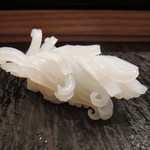 旬鮮彩鮨　豊のはなれ - 水烏賊