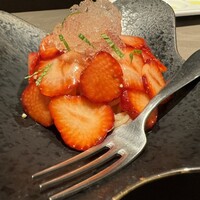 オッジ ダルマット 西麻布店 - 