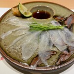 Shibuya Fugu Tatsu - 