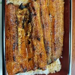 炭焼うなぎ 加茂 - 