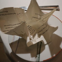 ロドラント ミノルナキジン - 