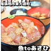 魚toあさひ - 