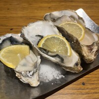 Seafood bar Ermitage 横浜鶴屋町店 - 