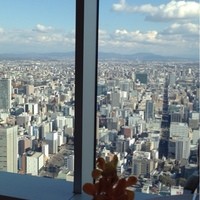 オーベルジュ・ド・リル ナゴヤ - ドリル名古屋さんからの景色♤素敵な景色