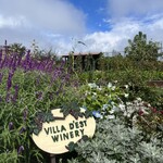 ヴィラデスト ガーデンファーム アンド ワイナリー - 
