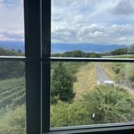 ヴィラデスト ガーデンファーム アンド ワイナリー - 