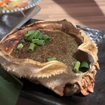 Toro Masa - 